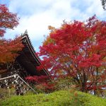 京都・善峰寺