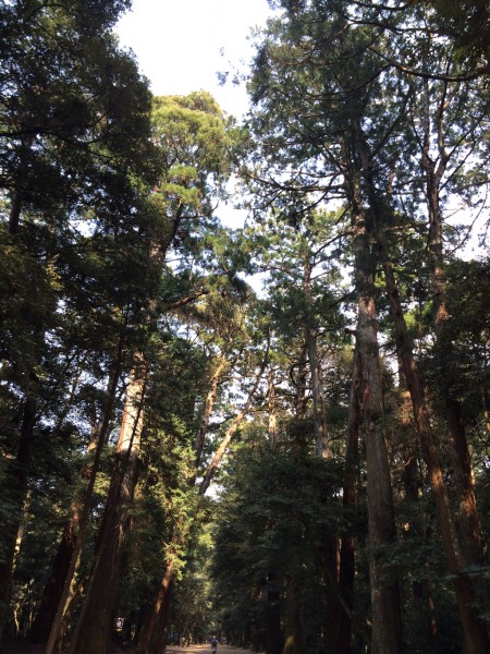 201410_kashima016