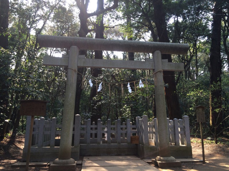 201410_kashima024