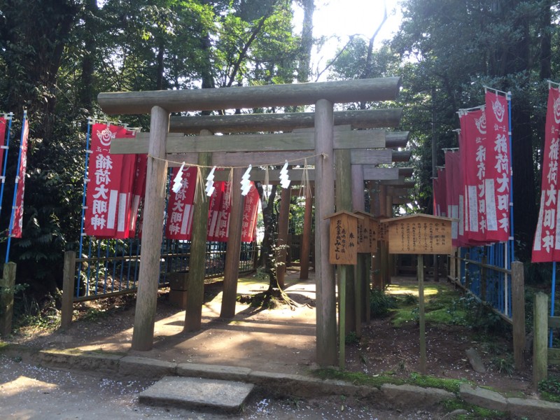 201410_kashima029