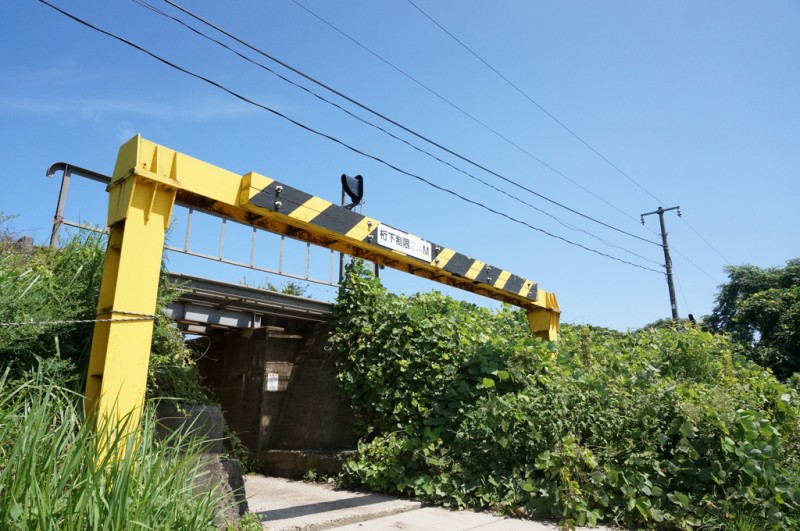 2015_tottori_008
