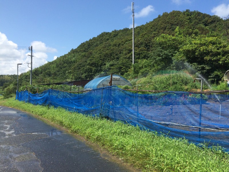2015_tottori_009